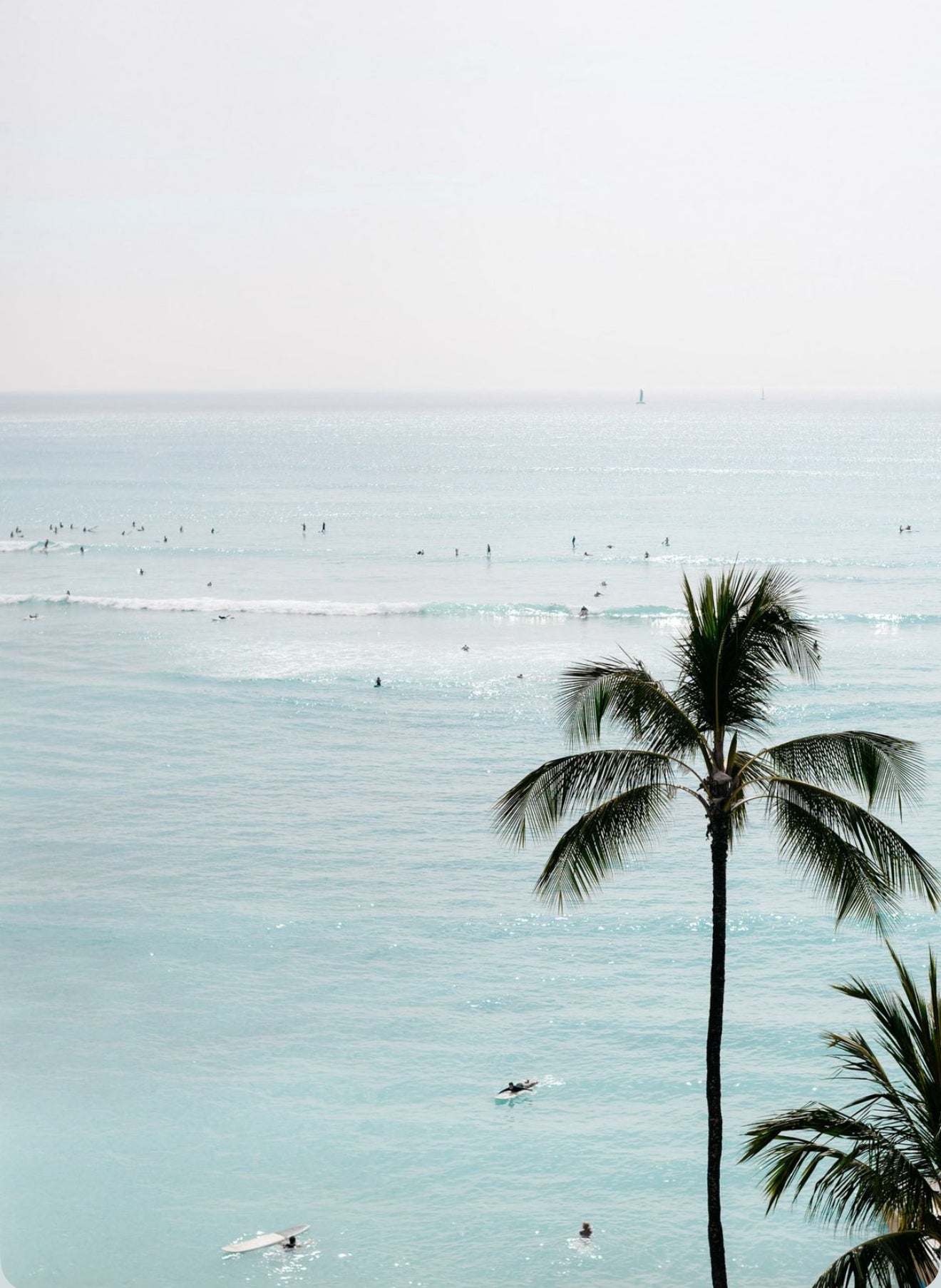 Notes from the Coast