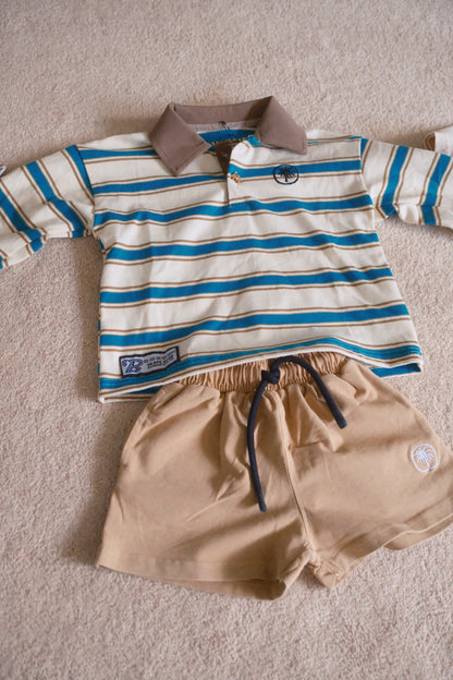 Driftwood Shorts